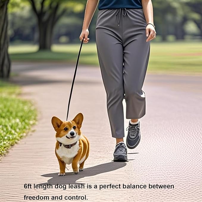 6 FT Puppy Leashes, Strong Traditional Style Leash with Easy to Use Collar Hook,Dog Lead Great for Small and Medium and Large Dog (Black, 5/8 in x 6 ft)