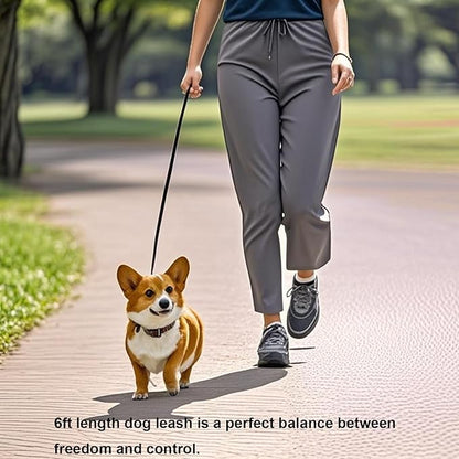 6 FT Puppy Leashes, Strong Traditional Style Leash with Easy to Use Collar Hook,Dog Lead Great for Small and Medium and Large Dog (Black, 5/8 in x 6 ft)