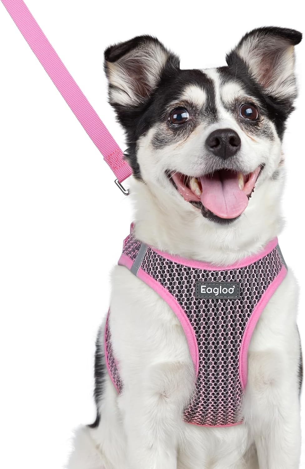 Eagloo Small Dog Harness and Leash Set, Step in Puppy Vest with Breathable Soft Mesh, Walking Reflective Pet Harness for Medium Small Dogs, Pink, L