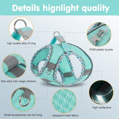 Dog Harness and Leash Set, No Pull Pet Harness for Small Dogs Easy Walking,Soft Breathable Small Dog Harness,Adjustable Reflective Step in Vest Harness for Puppy,Kitten, Cats