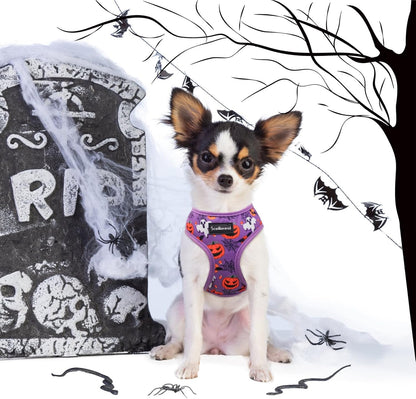 SCENEREAL Halloween Small Dog Harness Collar and Leash Set, Adjustable No Pull Pet Harnesses, No Chock Soft Mesh Step in Vest Costume for Doggie Puppy Dogs Cats Girl Boy Outdoor Walking