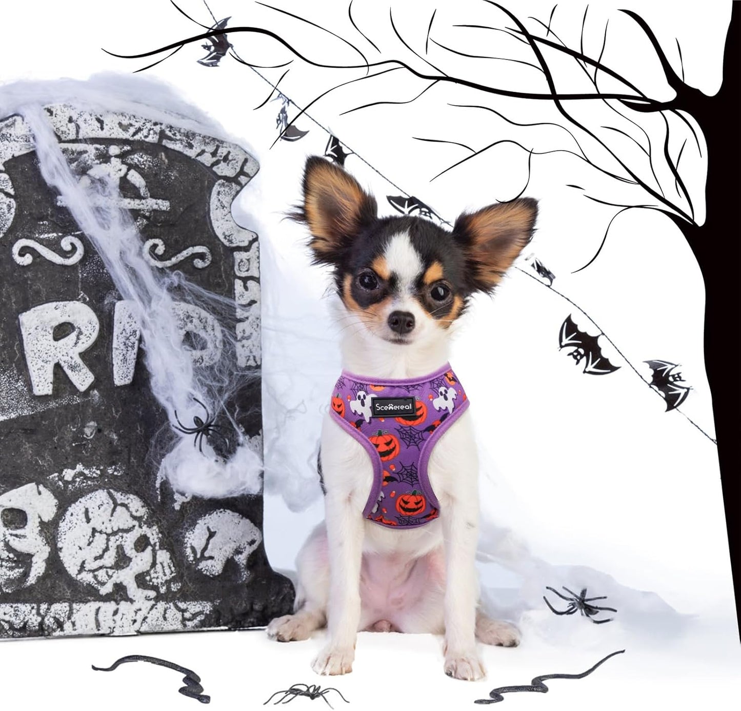 SCENEREAL Halloween Small Dog Harness Collar and Leash Set, Adjustable No Pull Pet Harnesses, No Chock Soft Mesh Step in Vest Costume for Doggie Puppy Dogs Cats Girl Boy Outdoor Walking
