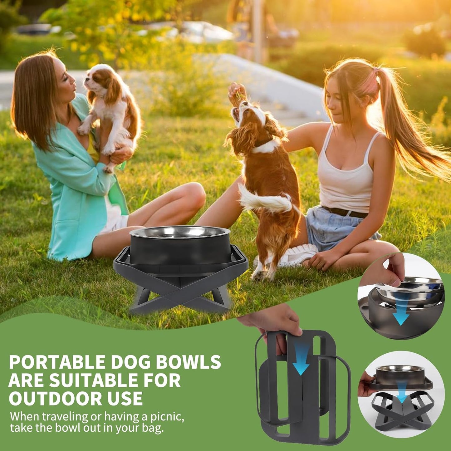 Raised Dog Bowls for Small & Medium Dogs, Adjustable Elevated Stainless Steel Food or Water Bowl, No Spill Non-Slip Dog Feeder Stand for Pets