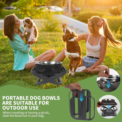 Raised Dog Bowls for Small & Medium Dogs, Adjustable Elevated Stainless Steel Food or Water Bowl, No Spill Non-Slip Dog Feeder Stand for Pets