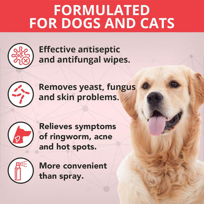 NOVEHA 120PCs XL Formulated Pet Wipes for Dogs & Cats - Safe for Facial & Finger Folds, Underarms, Groin, Hot Spots, Redness & Skin Relief, On-The-Go Size 5.5" x 7"