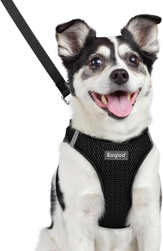 Eagloo Small Dog Harness and Leash Set, Step in Puppy Vest with Breathable Soft Mesh, Walking Reflective Pet Harness for Medium Small Dogs, Black, L