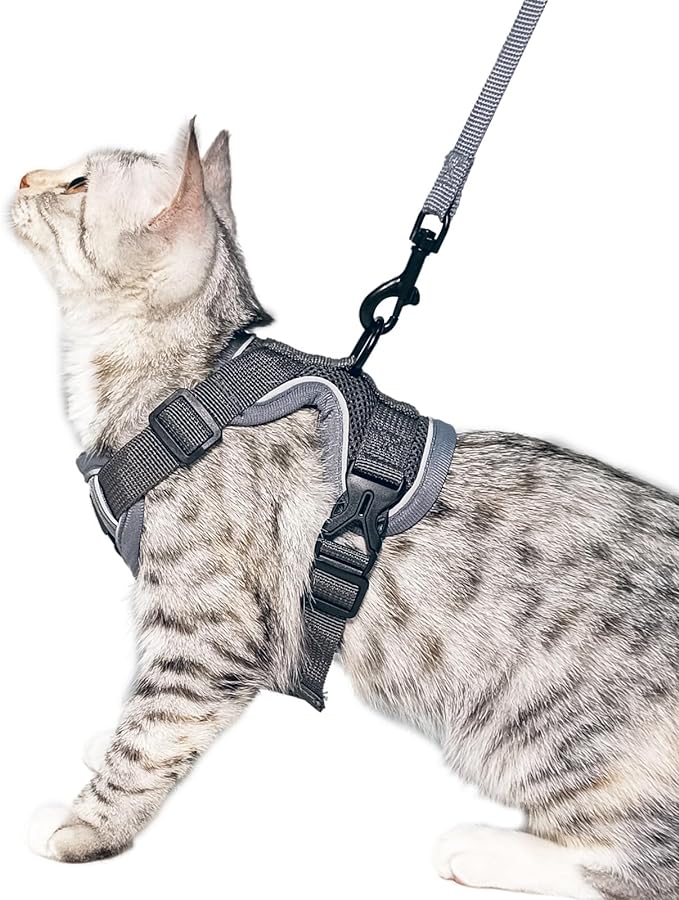 Cat Harness and Leash Set Escape Proof Tactical Extra Large Kitten Harness Emotional Support Cat Vest, Grey, XXL