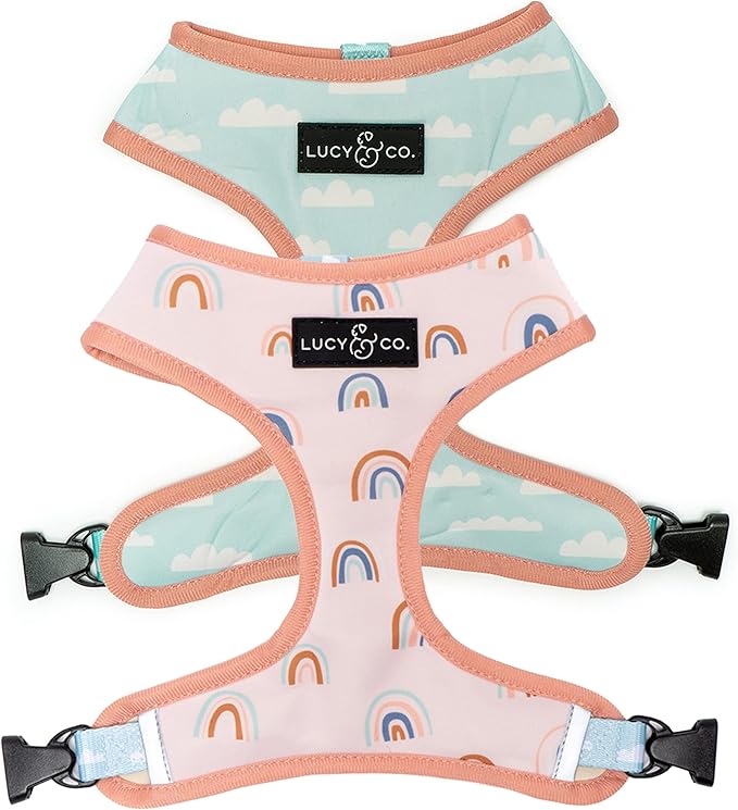 Lucy & Co. in The Clouds, Cute Reversible Dog Harness Walking Halter - Best Designer Pet Harnesses for Medium Dogs - Padded Adjustable Vest for Easy Walking (Small)