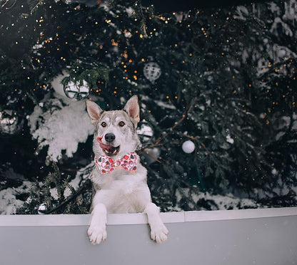 DOGWONG Christmas Dog Collar with Sailor Bow, Pink Santa Claus Dog Collar Soft Durable Adjustable Cotton Cute Girl Puppy Collar for Small Medium Large Dog