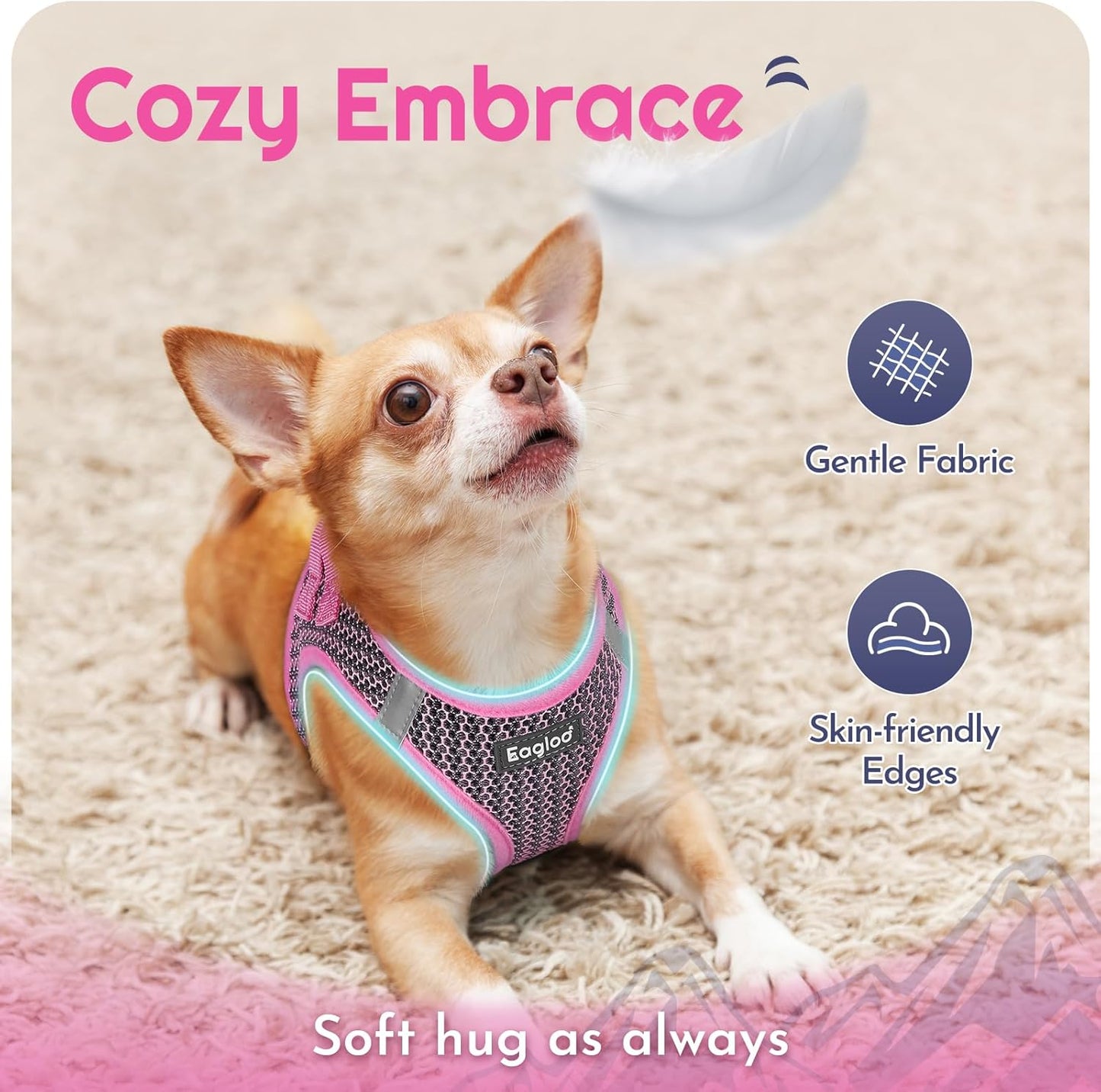 Eagloo Small Dog Harness and Leash Set, Step in Puppy Vest with Breathable Soft Mesh, Walking Reflective Pet Harness for Extra Small Dogs, Pink, XXS