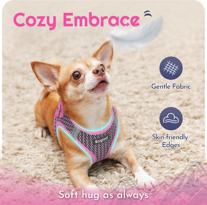 Eagloo Small Dog Harness and Leash Set, Step in Puppy Vest with Breathable Soft Mesh, Walking Reflective Pet Harness for Small Dogs, Pink, XS