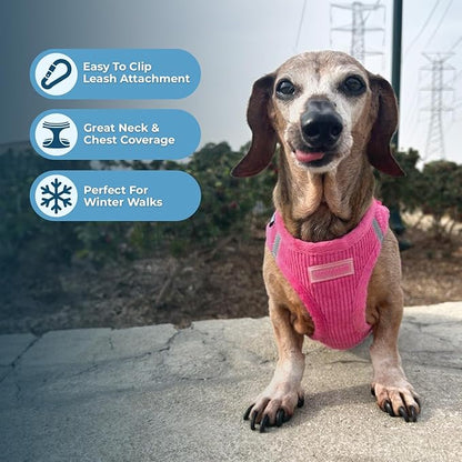 Voyager Step-in Plush Dog Harness – Soft Plush, Step in Vest Harness for Small and Medium Dogs by Best Pet Supplies - Harness (Fuchsia Corduroy), S (Chest: 14.5-16"), 206T-FU-S