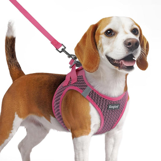 Eagloo Small Dog Harness and Leash Set, Step in Puppy Vest with Breathable Soft Mesh, Walking Reflective Pet Harness for Medium Small Dogs, Rose Red, M