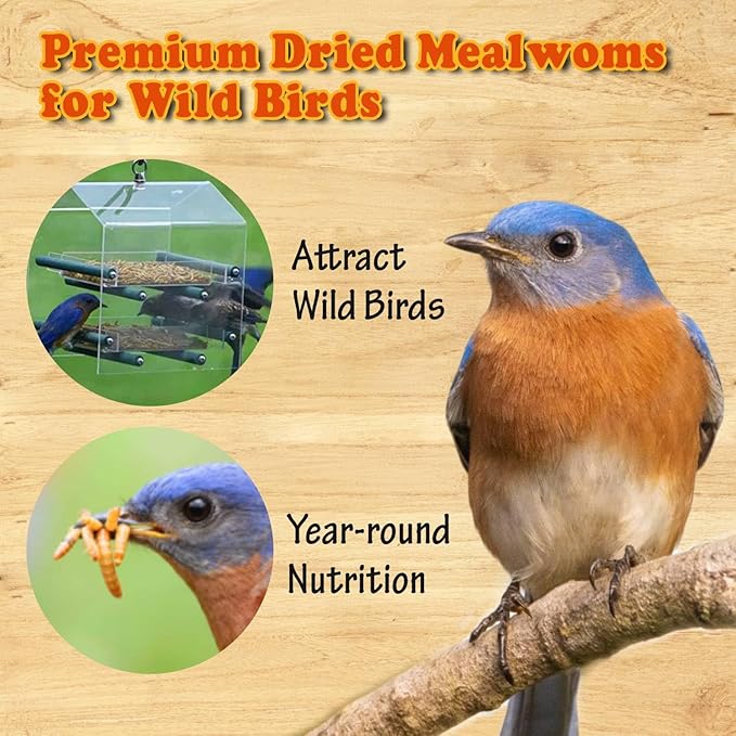 Amzey Dried Mealworms - 2 Pack 3.5OZ (7OZ Total) - High Protein Non GMO Mealworms - Great for Bearded Dragon, Birds, Fish, Lizard, Ducks, Chickens, Hamsters, Hedgehogs,Turtle Food, Reptile Food