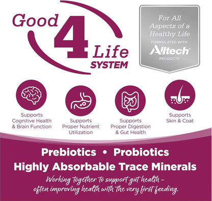 NutriSource Cat & Kitten Food, Chicken and Rice, 4LB