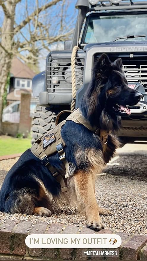 OneTigris Tactical Large Dog Harness, 5X Metal Buckled No Pull Service Dog Harness Vest with Hook & Loop Panels, Military Heavy Duty Dog Vest for Walking Hiking Training