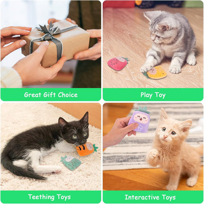 6 Pack Cat Toys Pineapple, Catnip Kitten Toys for Indoor Cats Kitty, Interactive Cat Nip Chew Kicker Toy for All Pet Breed