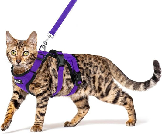 PUPTECK Cat Harness and Leash Set Escape Proof for Walking, Breathable Mash Vest Adjustable Harness for Cats Puppy Small Animals, Reflective at Night, Purple Small