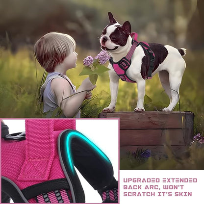 BUMBIN Dog Harness for Large Dogs, No Pull Adjustable No Choke Pet Vest with Dog Leash Fit Smart Reflective Pet Walking Harness for Training Easy Control Soft Handle Rose Red M