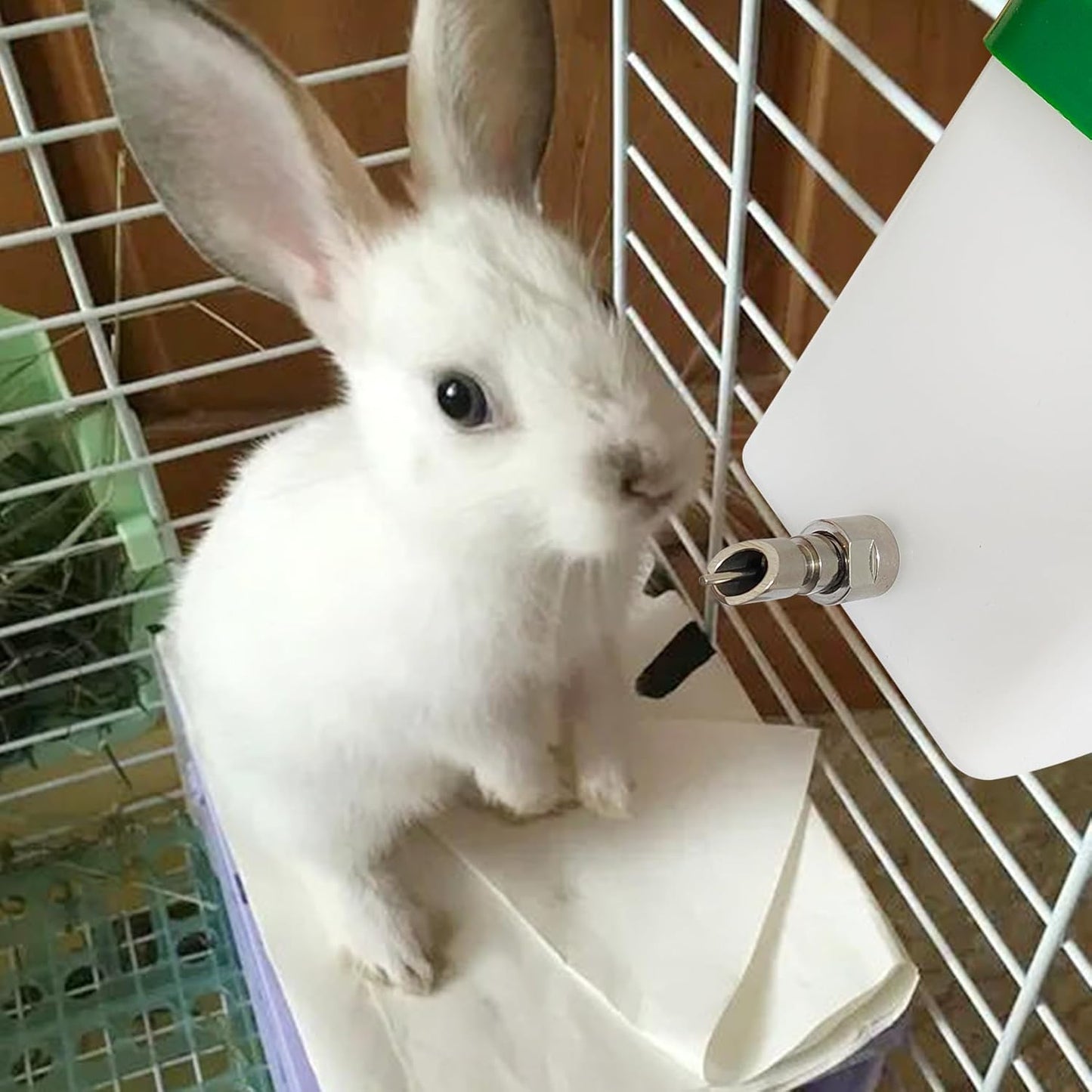 Threaded Stainless Steel Rabbit Water Nipples Automatic Rodent Watering System Kit Animal Breeding Supplies (6PCS)