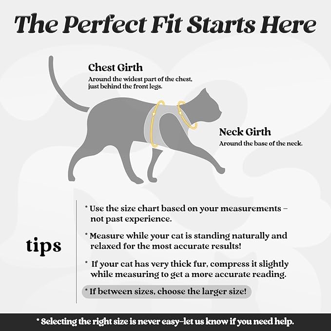 rabbitgoo Cat Harness and Leash Set for Walking Escape Proof, Adjustable Soft Kittens Vest with Reflective Strip for Cats, Comfortable Outdoor Vest, Black, M