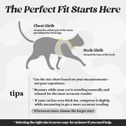 rabbitgoo Cat Harness and Leash Set for Walking Escape Proof, Adjustable Soft Kittens Vest with Reflective Strip for Cats, Comfortable Outdoor Vest, Black, XL