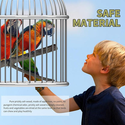 Bird Toys, Natural Parrot Toys for Small Macaws, Budgies, Lovebirds, Finches, Small and Medium Sized Birds Peppercorn Wood Apple Tree Perch Wood Set