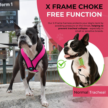 Gooby Comfort X Head In Harness - Flamingo Pink, Large - No Pull Small Dog Harness, Patented Choke-Free X Frame - On the Go Dog Harness for Medium Dogs No Pull or Small Dogs for Indoor and Outdoor Use