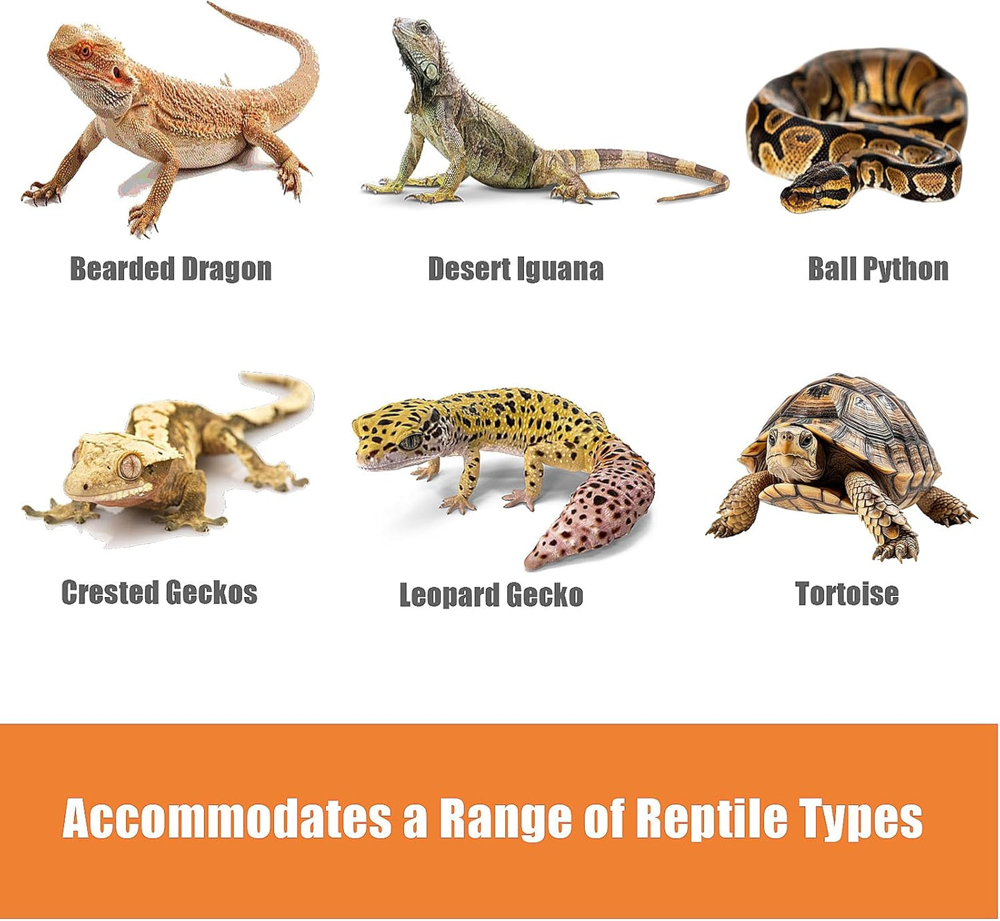 Bearded Dragon Tank Accessories, Reptile Terrarium Liner, Bearded Dragon Substrate Bedding for 40 Gallon 50 Gallon 75 Gallon Reptile Tank