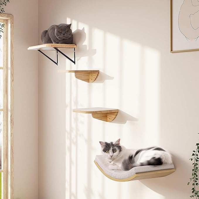 Cat Wall Shelf & Window Perch Combo, Wood Cats Wall Furniture with Soft Foam Curved Bed and Felt-Padded Steps, 4-Piece Floating Cat Climbing System