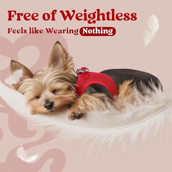 rabbitgoo Small Dog Harness, Step-in Soft Mesh Puppy Vest with Safety Buckle, Breathable Reflective Pet Harness for Small Medium Dogs, Red XL