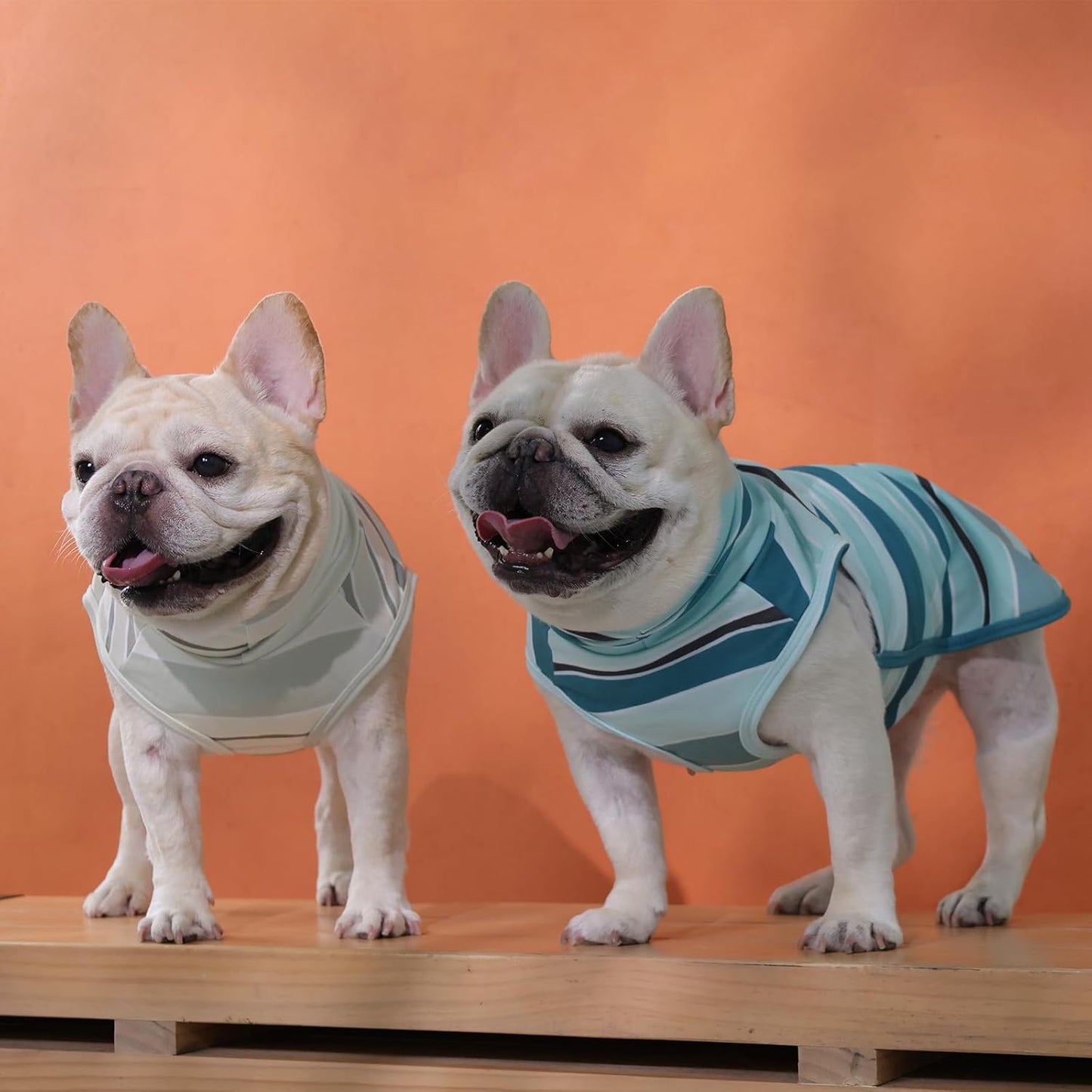 ROZKITCH Dog Shirt for Large Dogs Giant Breeds with Leash Hole, Sweater Pet Hoodie & Vest, Breathable Cozy Pullover for Stylish & Functional Design BlueStripe 3XL