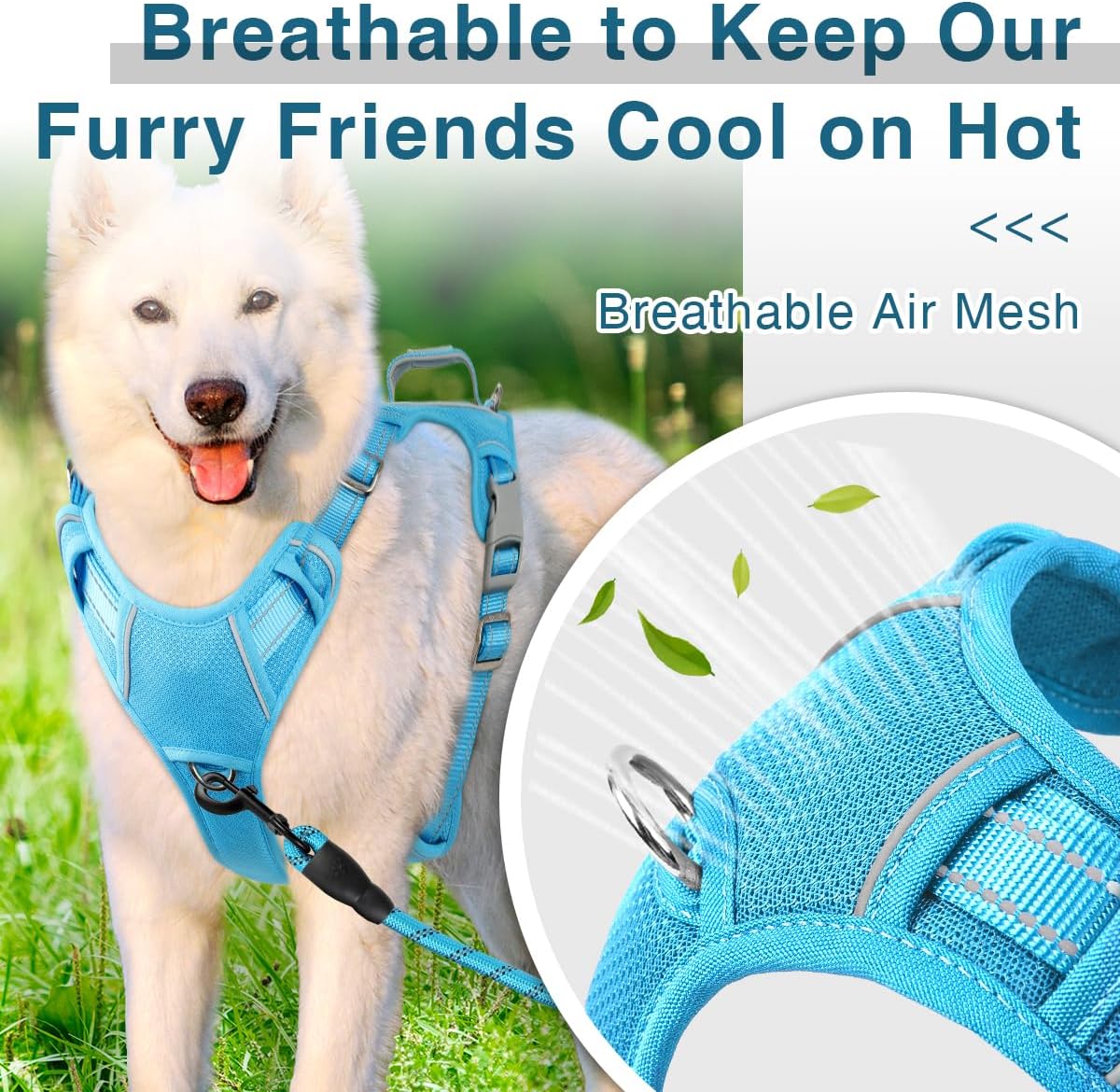 BARKBAY Dog Harness No Pull with ID Tag Pocket - Heavy Duty, Reflective, Easy Control for Small Dogs(Blue,S)