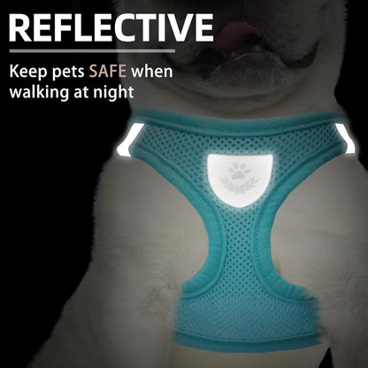 PUPTECK Adjustable Dog Harness Collar and Leash Set Step in No Pull Pet Harness for Small Medium Dogs Puppy and Cats Outdoor Walking Running, Soft Mesh Padded Reflective Vest Harnesses, Turquoise M