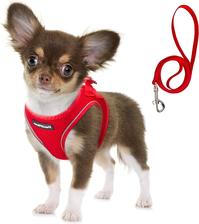Fida Comfy Dog Harness with Leash, Soft Puppy Vest Escape Proof, Breathable Lightweight Soft Mesh, Adjustable Reflective Step-in Harness for Small Pet Walking (S, Red)