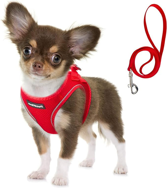 Fida Comfy Dog Harness with Leash, Soft Puppy Vest Escape Proof, Breathable Lightweight Soft Mesh, Adjustable Reflective Step-in Harness for Cat & Extra-Small Pet (XS, Red)