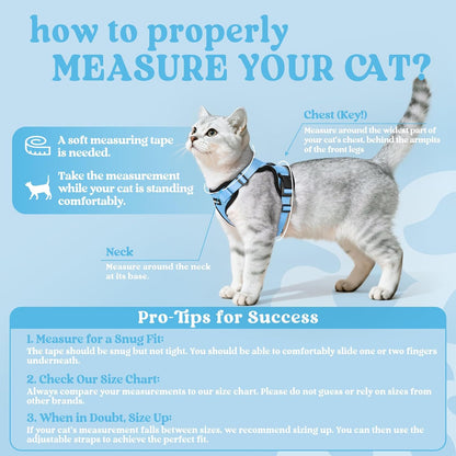rabbitgoo Cat Harness and Leash for Walking, Escape Proof Soft Adjustable Vest Harnesses for Cats, Easy Control Breathable Reflective Strips Jacket, Light Blue, S