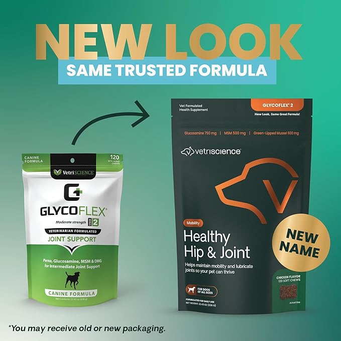 VetriScience Healthy Hip & Joint Chews, GlycoFlex Glucosamine and Green-Lipped Mussel Joint Support Supplement for Dogs, Promote Mobility and Protect Joints, Chicken, 120 Count