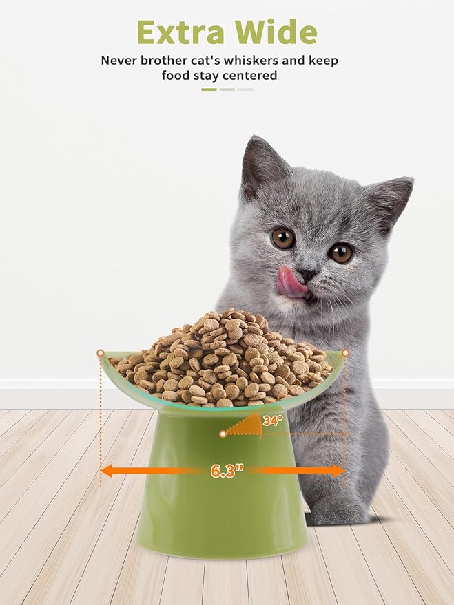 LoeJan Elevated Green Cat Bowls Set - Wide Raised Ceramic Feeder, Anti-Vomit Whisker-Free Bowl for Kittens to Adult Cats