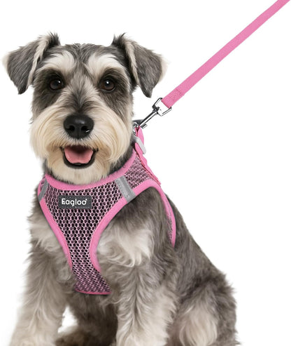 Eagloo Small Dog Harness and Leash Set, Step in Puppy Vest with Breathable Soft Mesh, Walking Reflective Pet Harness for Small Dogs, Pink, S