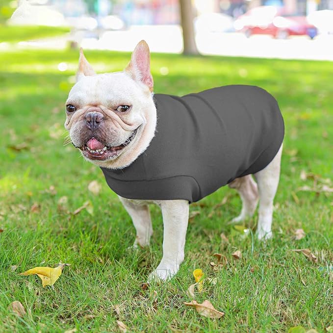 Small Dogs Fleece Dog Sweatshirt - Cold Weather Hoodies Spring Soft Vest Thickening Warm Cat Sweater Puppy Clothes Sweater Winter Sweatshirt Pet Pajamas for Small Dog Cat Puppy (Small, Dark Grey)