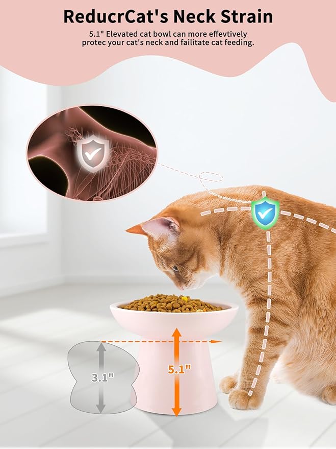 LoeJan Elevated Food and Water Bowls Set, Extra Wide and Raised Ceramic Feeder, Anti-Vomit Whisker-Free Pressure Feeding Bowl for Kittens, Adult Cats, Small Dogs (Pink, Bowl Set)