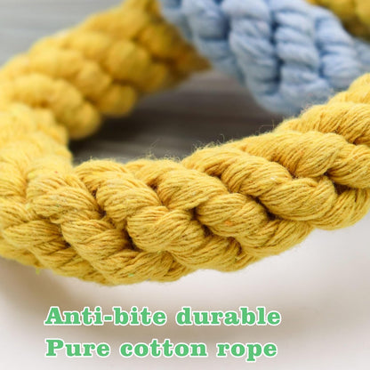 Sugar Glider Hanging Toy - Colorful 6-Ring Climbing & Swing Set for Cages, Cage Accessories for Small Animals Birds Parrots Parakeets Cockatiels Ferrets Hamsters Rats