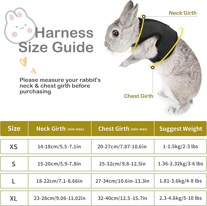 PETTOM Bunny Rabbit Harness with Stretchy Leash Cute Adjustable Buckle Breathable Mesh Vest for Kitten Small Pets Walking (Black,XS)