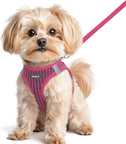 Eagloo Small Dog Harness and Leash Set, Step in Puppy Vest with Breathable Soft Mesh, Walking Reflective Pet Harness for Small Dogs, Rose Red, XS