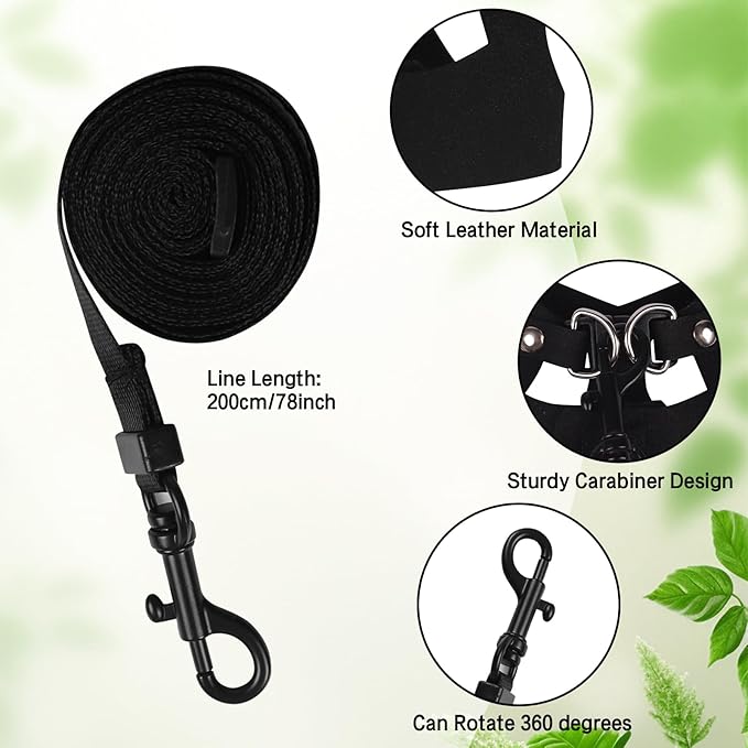 Bearded Dragon Harness Leash Set 3 Size Adjustable Lizards Training Walking Leather Vest Escape-Proof Traction Rope for Outdoor Small Reptiles Animal Squirrels (Black)