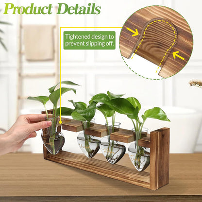 Plants Propagation Stations Plant Terrarium Kit for Bathroom Glass Planters for Indoor Plants Bathroom Decor Accessories - Relax Soak Unwind Breathe