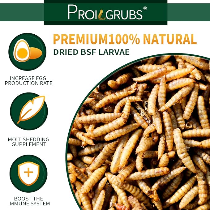 PROILGRUBS Dried black soldier fly larvae 5.5 lbs, 1 Count (Pack of 1)