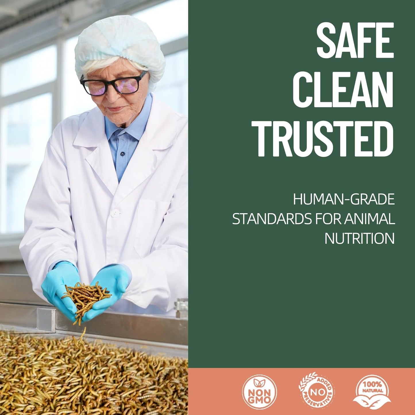 10LB Premium Non-GMO Dried Mealworms - High-Protein Natural Feed & Chicken Treats for Chickens, Ducks, Wild Birds, Quails & Reptiles - Support Egg Production & Feather Growth