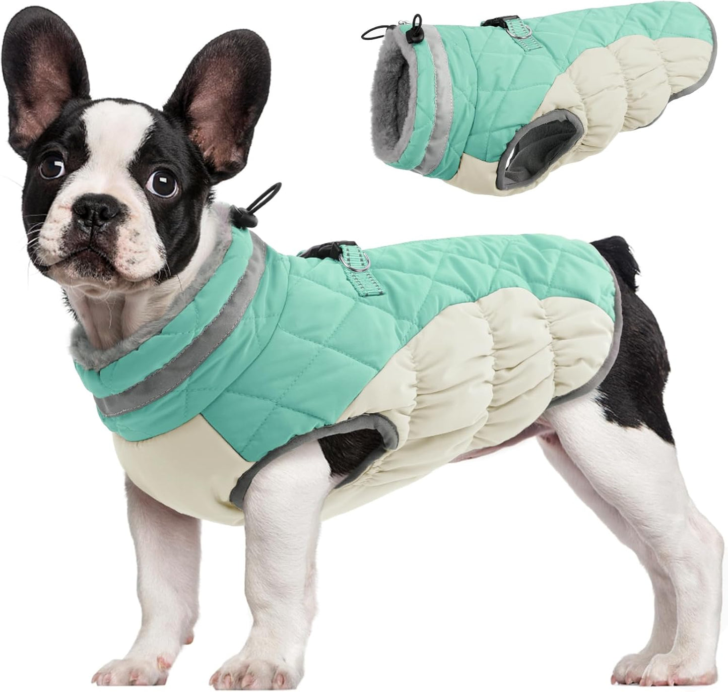 FUAMEY Dog Coat for Small Dogs,Waterproof Dog Winter Jacket with Harness Built in Puppy Cold Weather Coats Reflective Pet Vest with Zipper Warm Fleece Dogs Snowsuit Windproof Mint Green S
